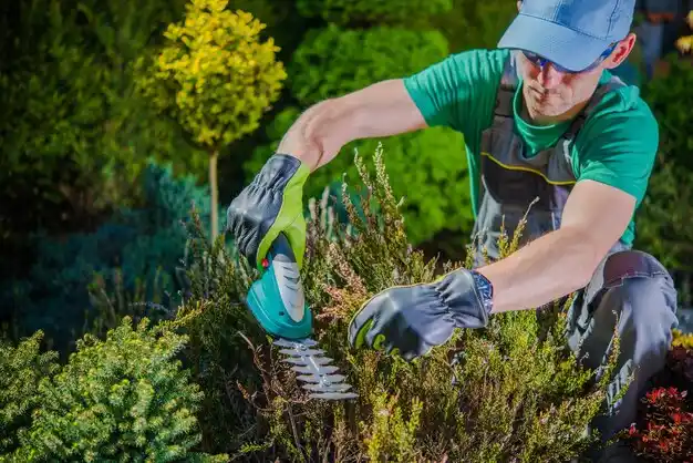 landscaping services Marston